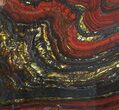 Polished Tiger Iron Stromatolite - ( Billion Years) #62724-1